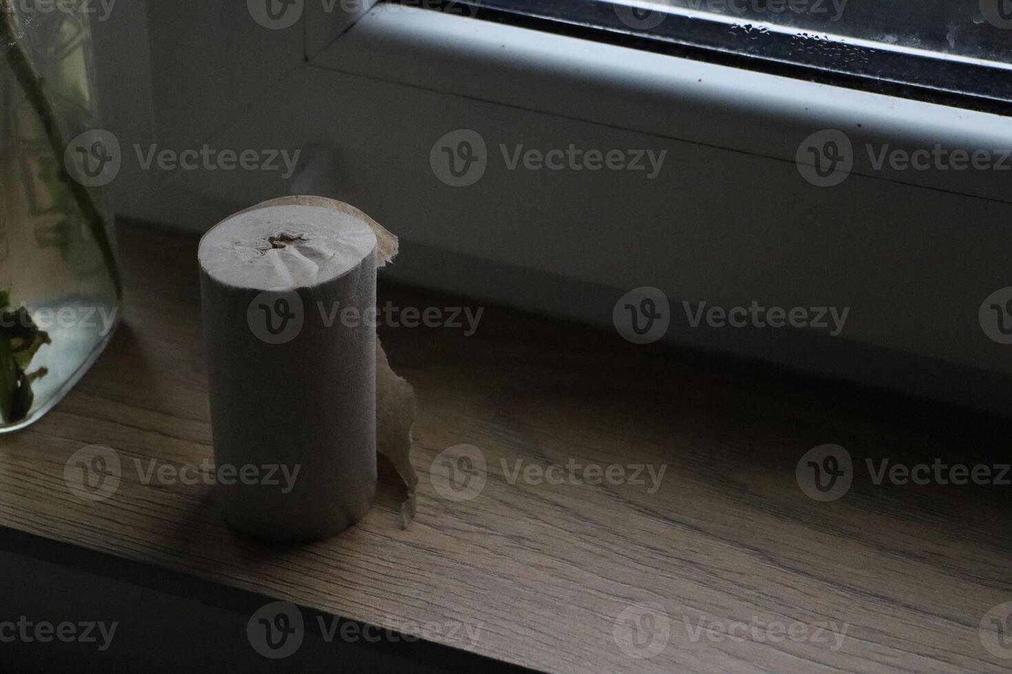 Natural Elements Beautifully Displayed on a Windowsill Surrounded by a Roll of Paper photo