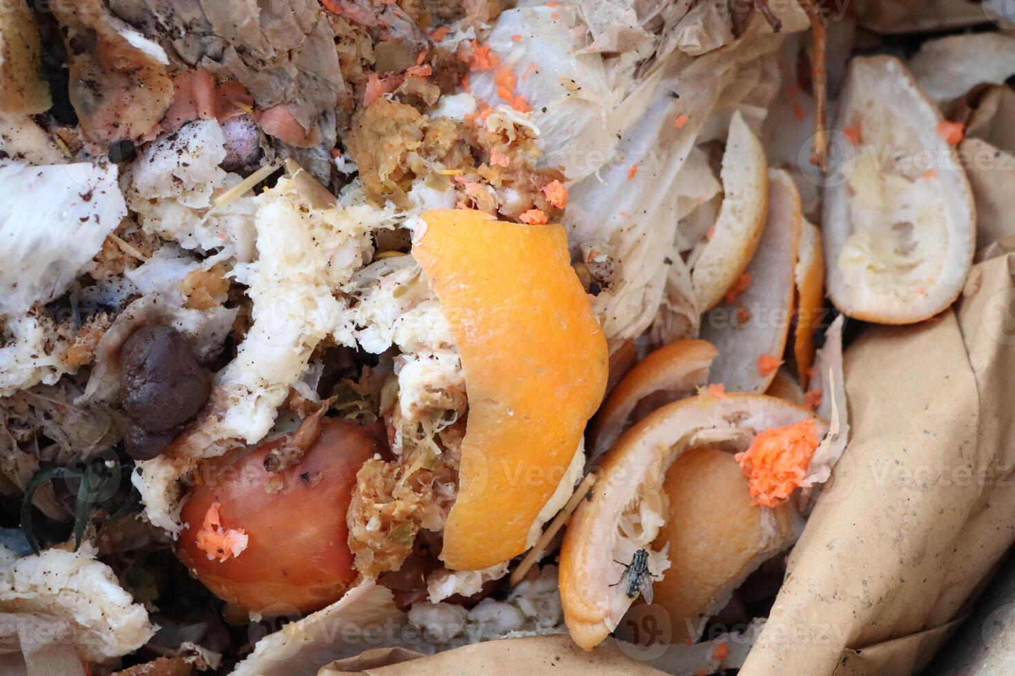 Managing Organic Waste in a Compost Bin significantly contributes to sustainability photo