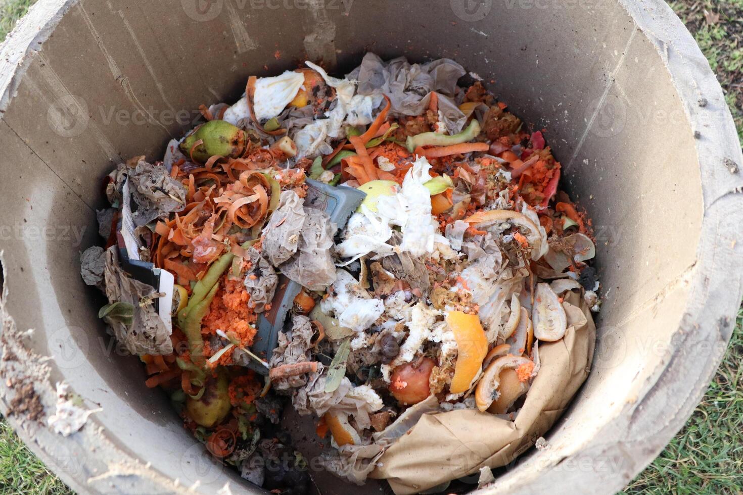 Composting Waste Using Organic Materials Effectively in a Compost Bin for Gardening photo