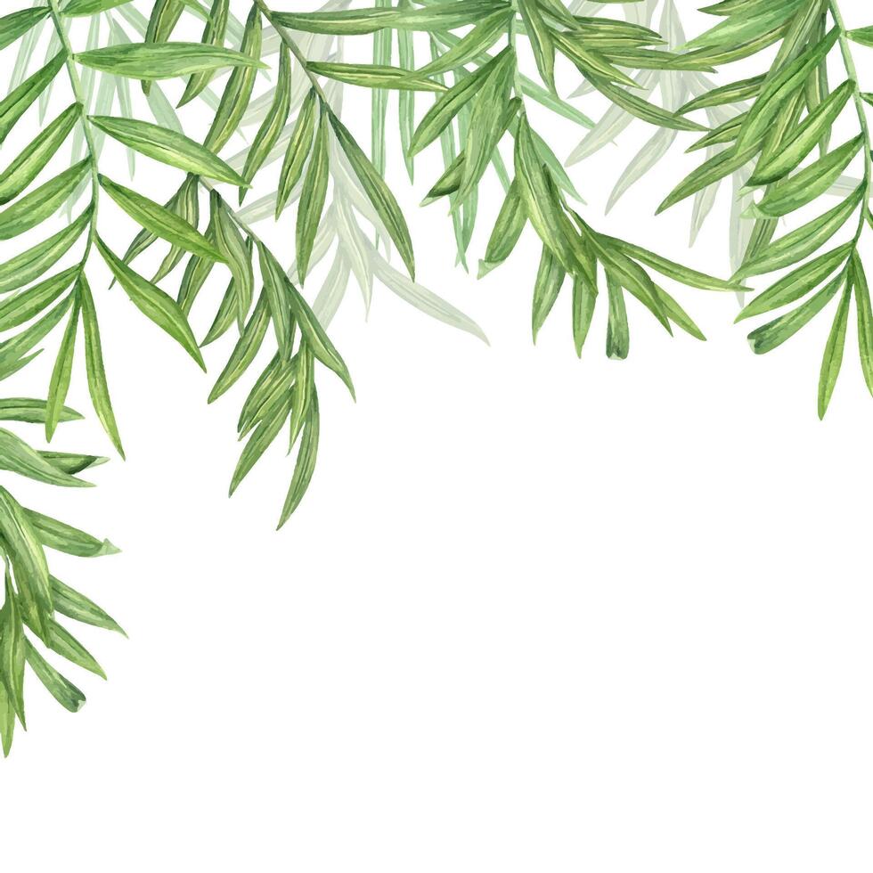 Watercolor hanging down branches of plants illustration. Summer tropical leaves frame with copy space for text. . Palm or cane leaf bouquet for textile decor, greeting cards, package design vector