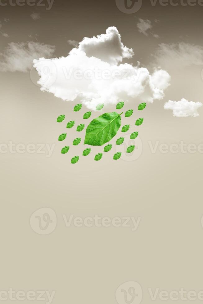 Clouds had green leaves made into raindrops. Imagination connecting nature and life Raindrops refresh the green leaves. Restoring the environment photo