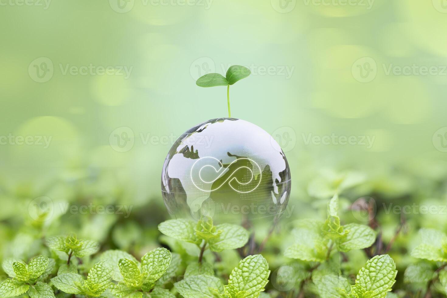 Crystal globe glass on green moss and new sprout grows on a transparent Earth concept of the environment ecology and Earth Day photo