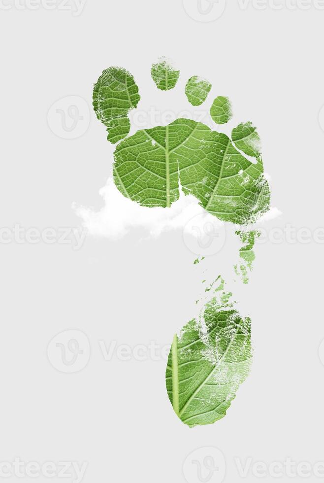 Green leaf growing footprints, co2 symbol isolated on white background. Clean and friendly environment without carbon dioxide emissions. photo