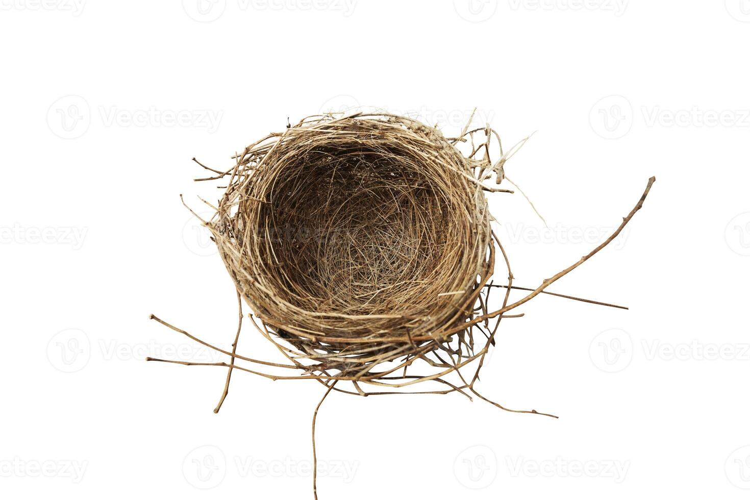 Top view of empty bird nest isolated on white background. Clipping path photo