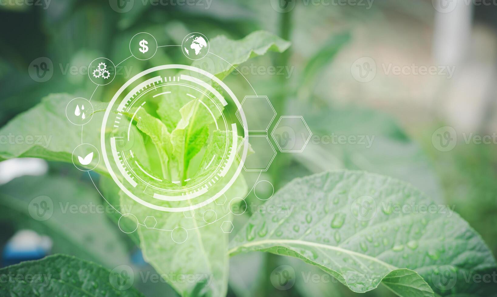 green leaf with icons on it photo