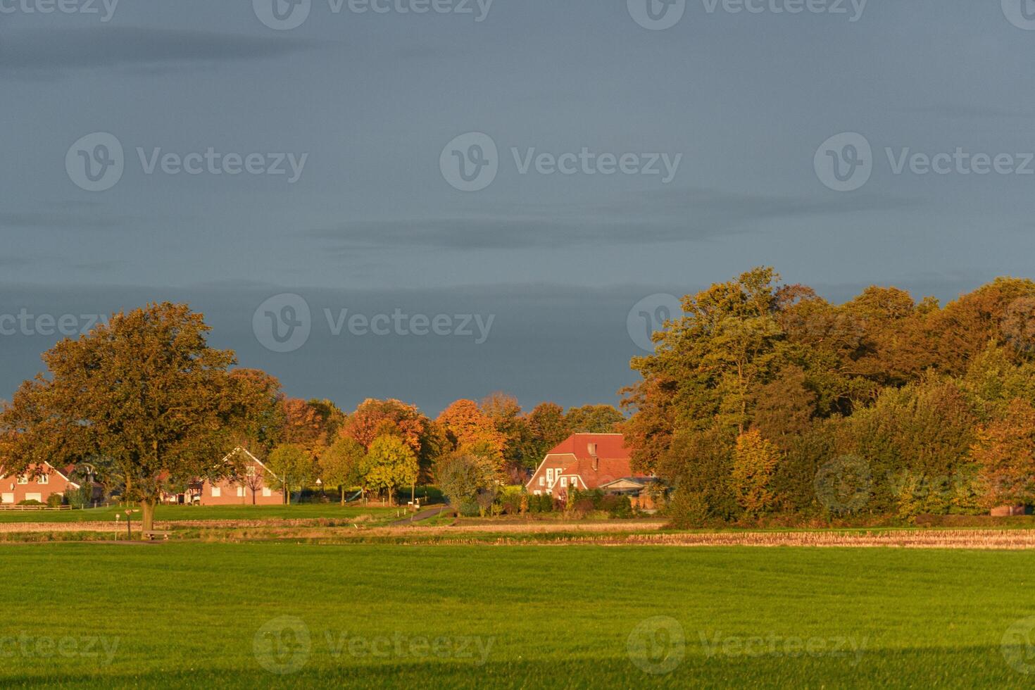 A field with a green grass and a farm photo