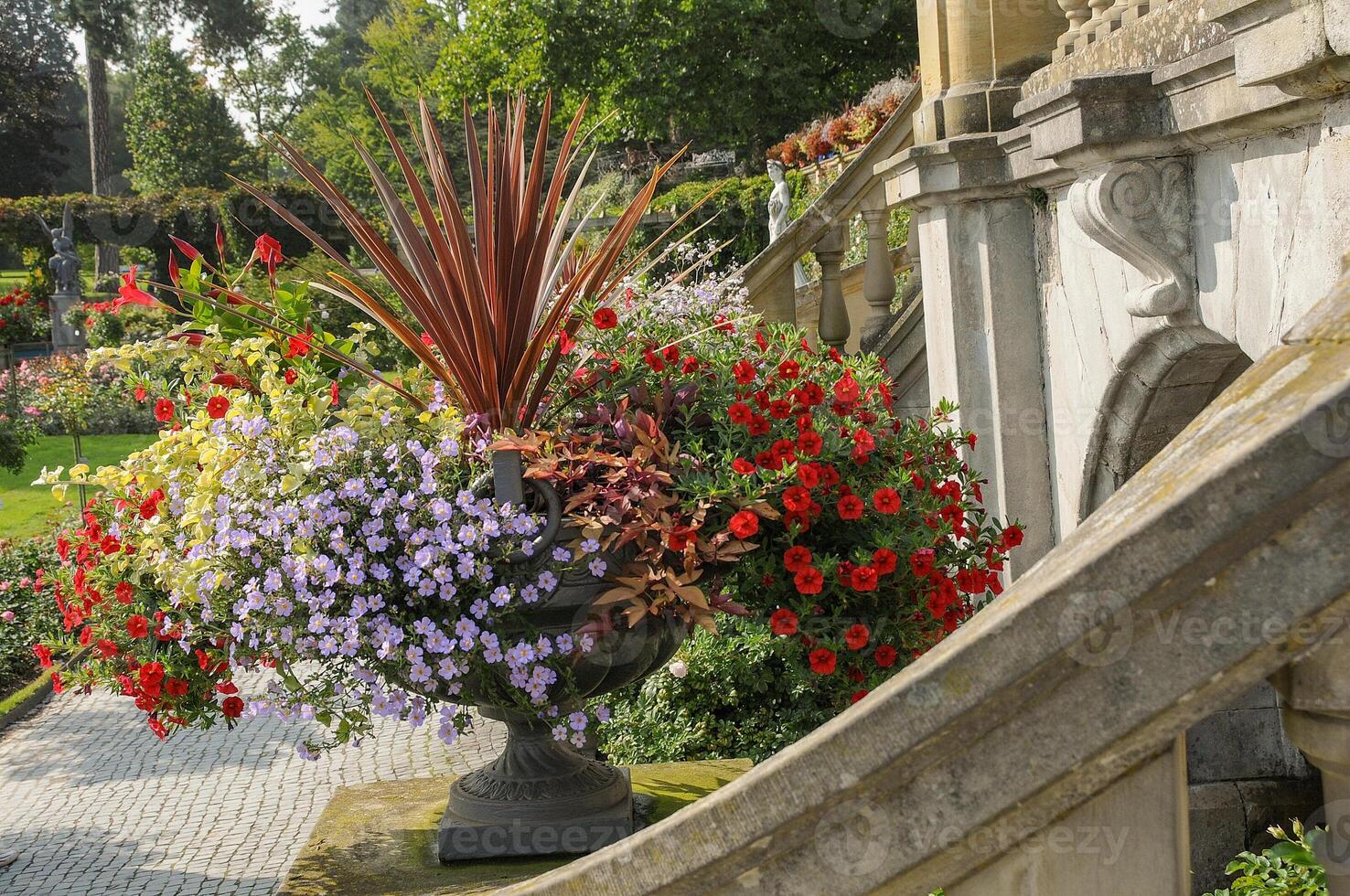 A large flower pot photo
