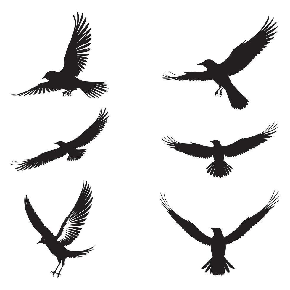 Bird Silhouette Design vector