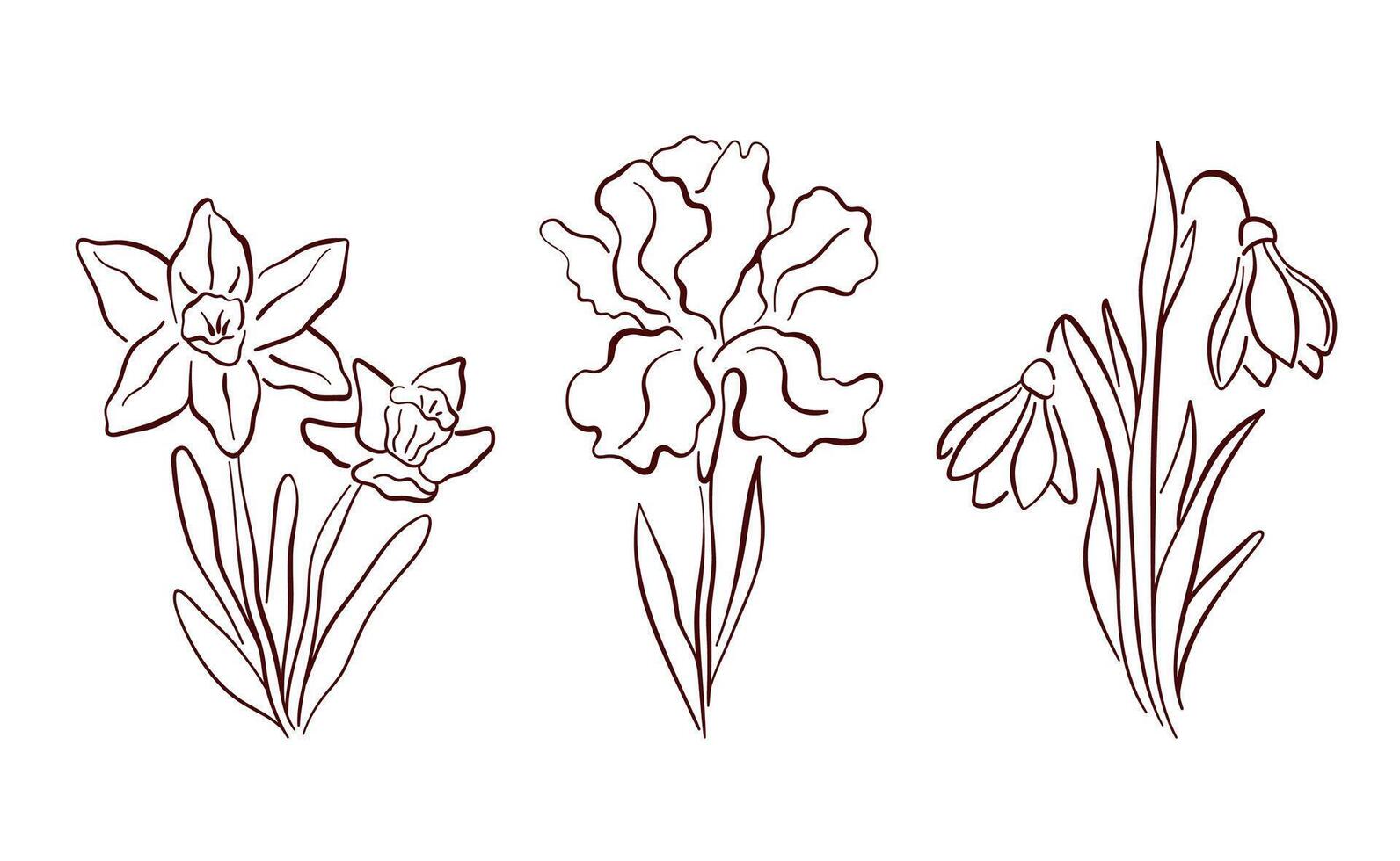 Spring flowers set of daffodil, iris and snowdrop in line art style. Perfect for elegant design stationery or botanical themed artwork. Isolated on a white background. vector