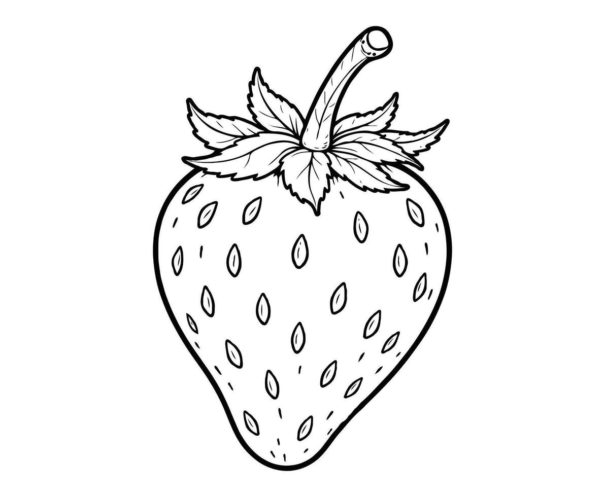 Strawberry Fruit Coloring Page vector