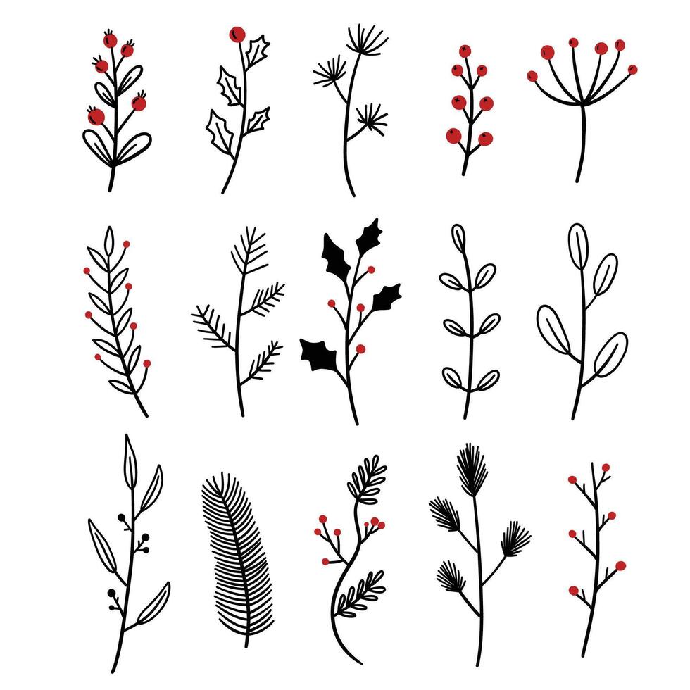 Set of hand drawn sprigs and leaves. set hand drawn illustrations of Christmas branches, leaves, and pine twigs. illustration. vector
