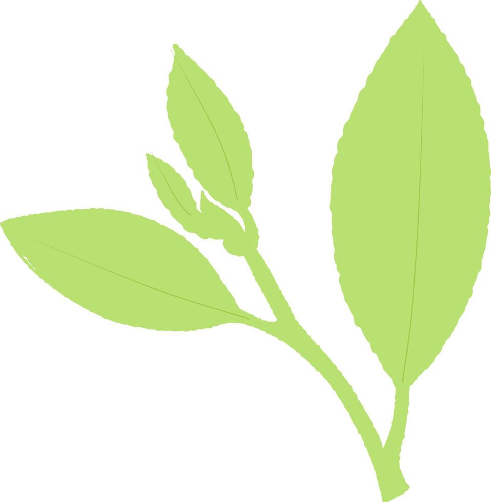 Light green leaves bouquet for the Holiday Season Autumn Gratitude Simple vector