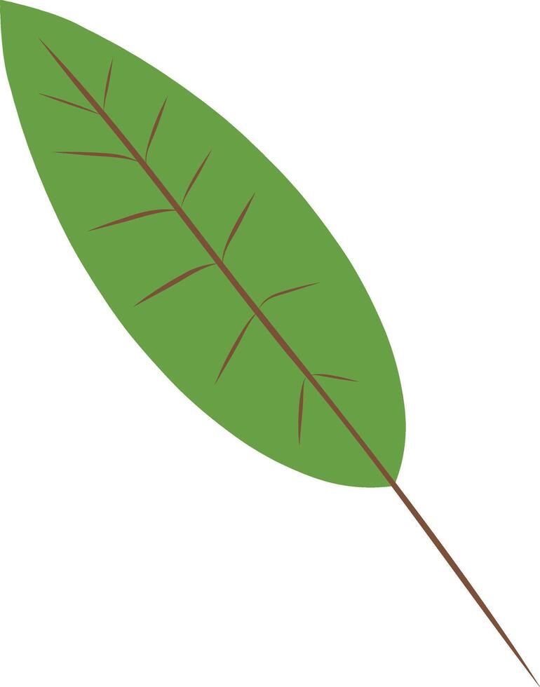 Slender green leaves bouquet for the Holiday Season Simple vector