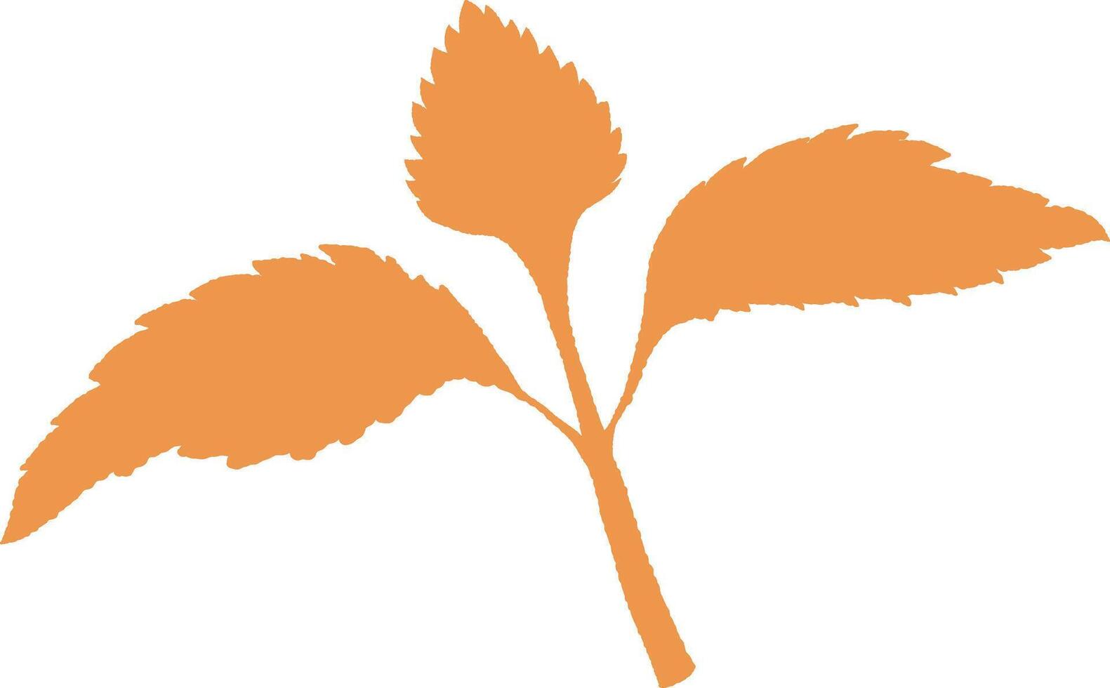Golden leaves Leaf for the Holiday Season Autumn Gratitude Simple Thanksgiving Leaf Golden vector