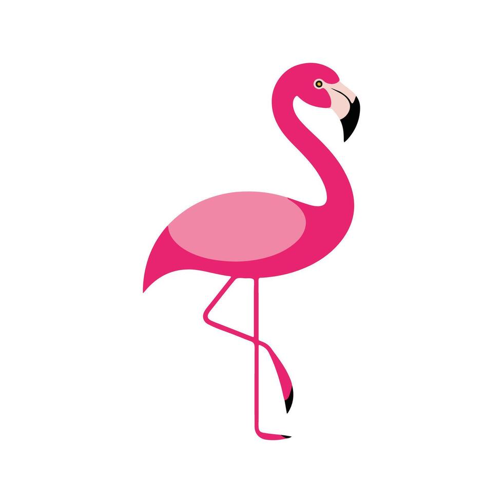 Flat Illustration of Flamingo with Bright Pink Body and Clean Lines vector