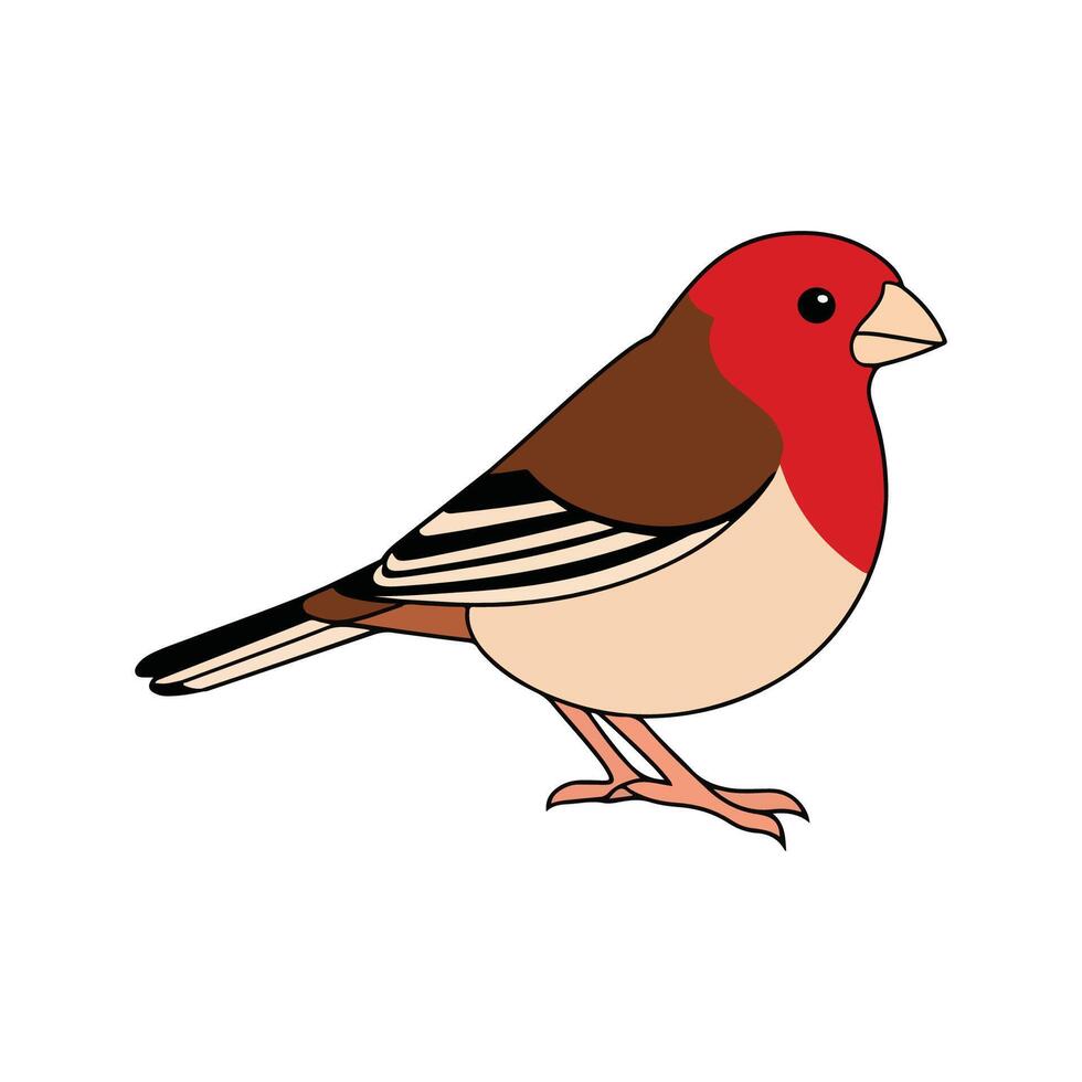 Flat illustration of a stylized common finch with red-brown body, short beak, and smooth wings, minimalistic design, plain white background vector