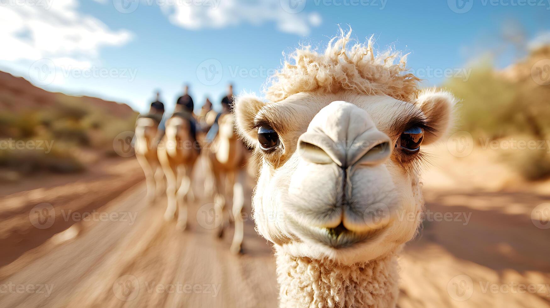 Close up of camel in desert with caravan in background, showcasing unique features of animal and beautiful landscape. scene captures essence of desert life photo