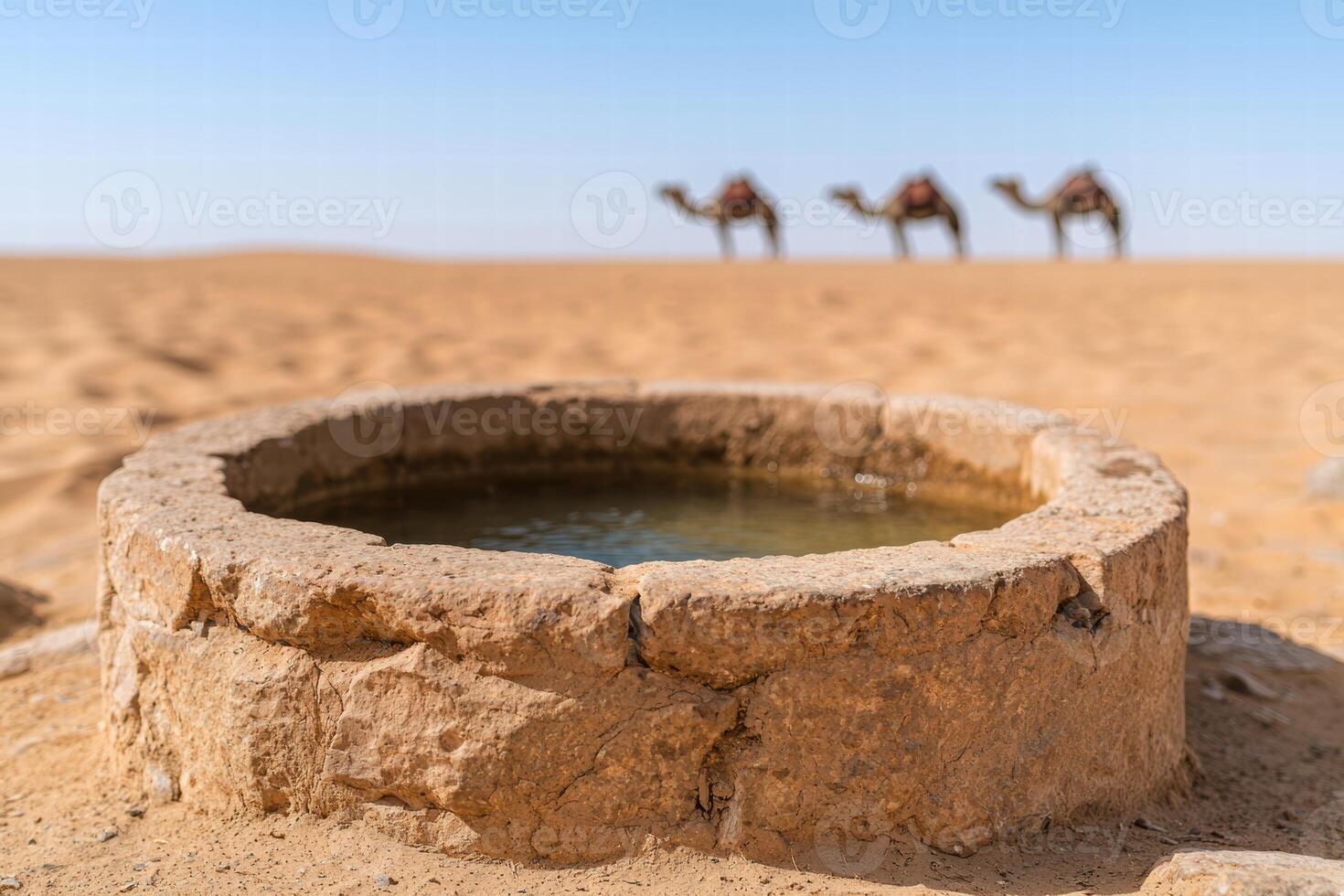Oasis in the desert with camels photo