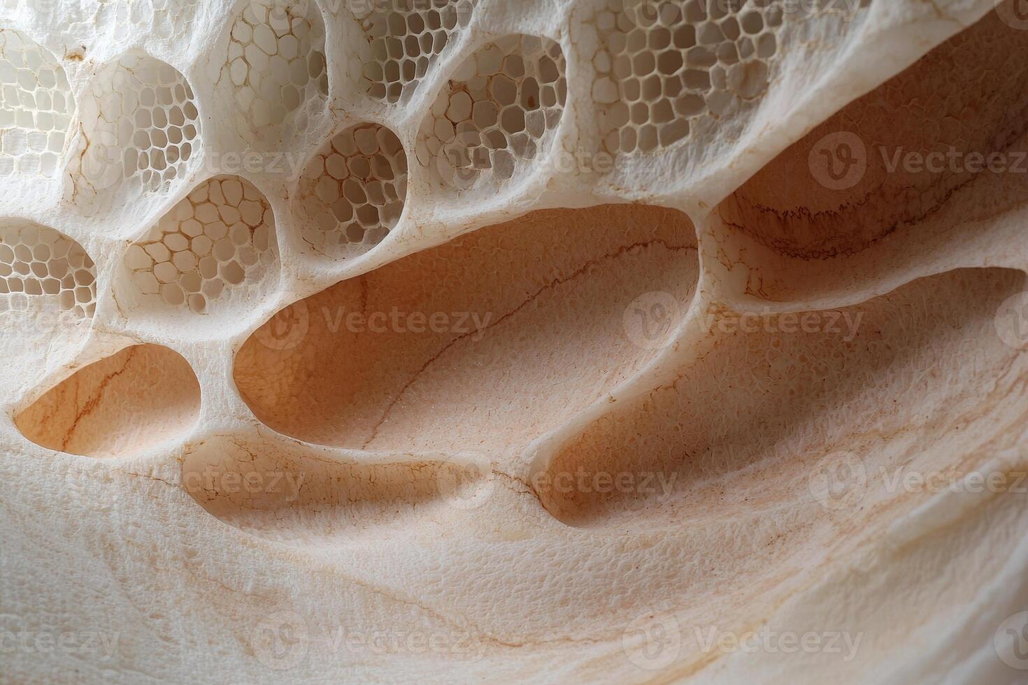 Intricate honeycomb structure in natural beige tones photo