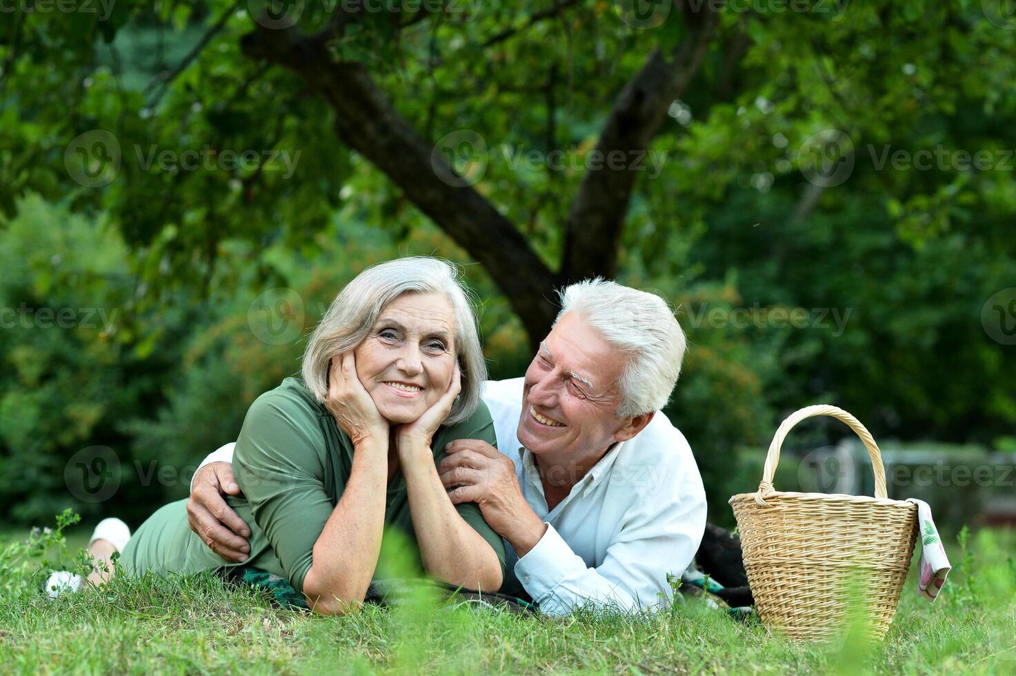 Portrait of beautiful old couple in summer park photo
