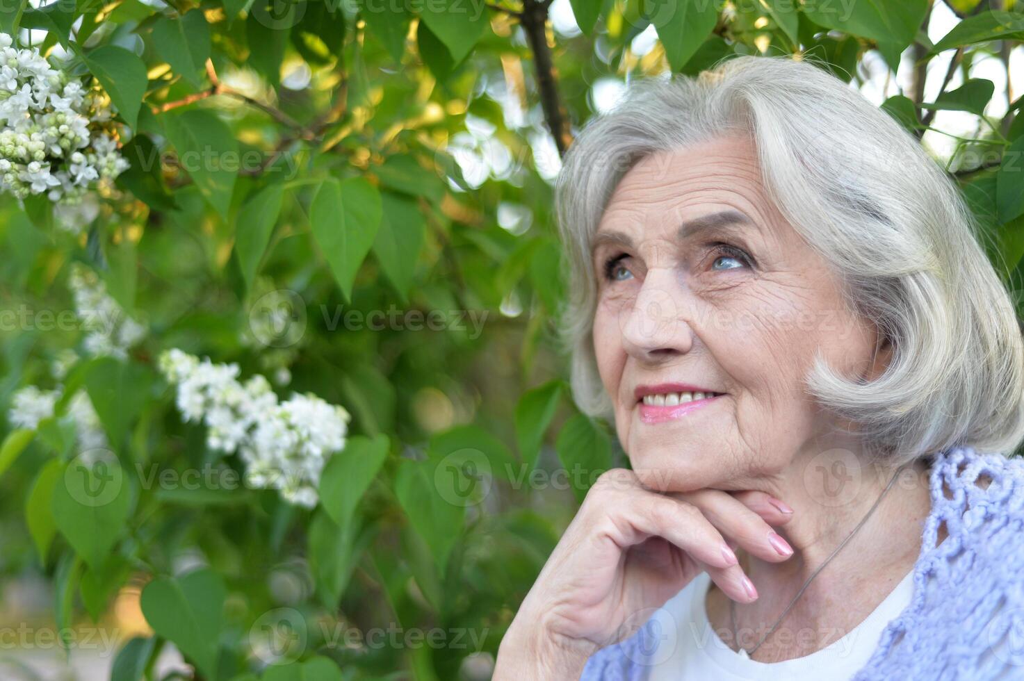Portrait of senior woman in summer park photo