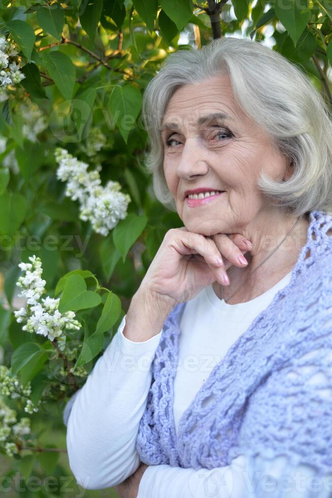 Portrait of senior woman in summer park photo