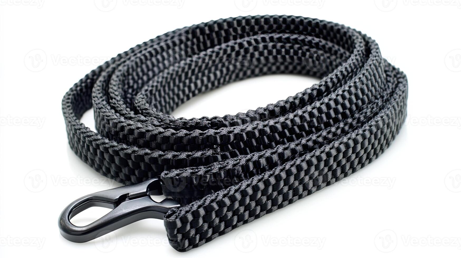 Black Dog Leash photo
