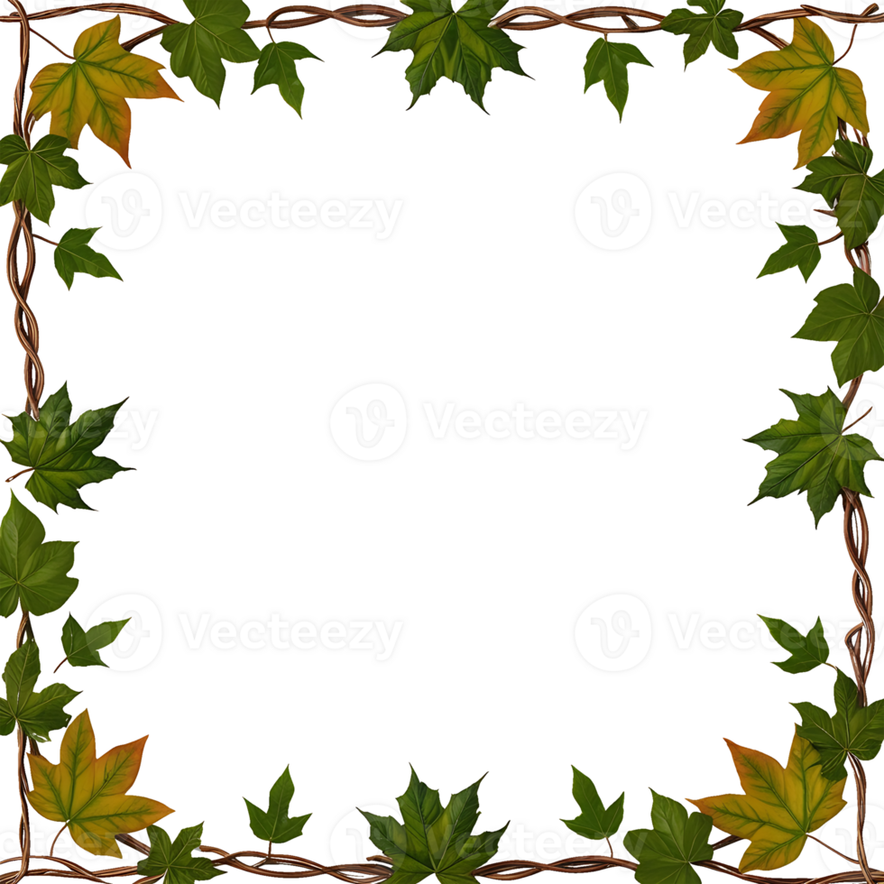 square frame with leaves and vines on it png