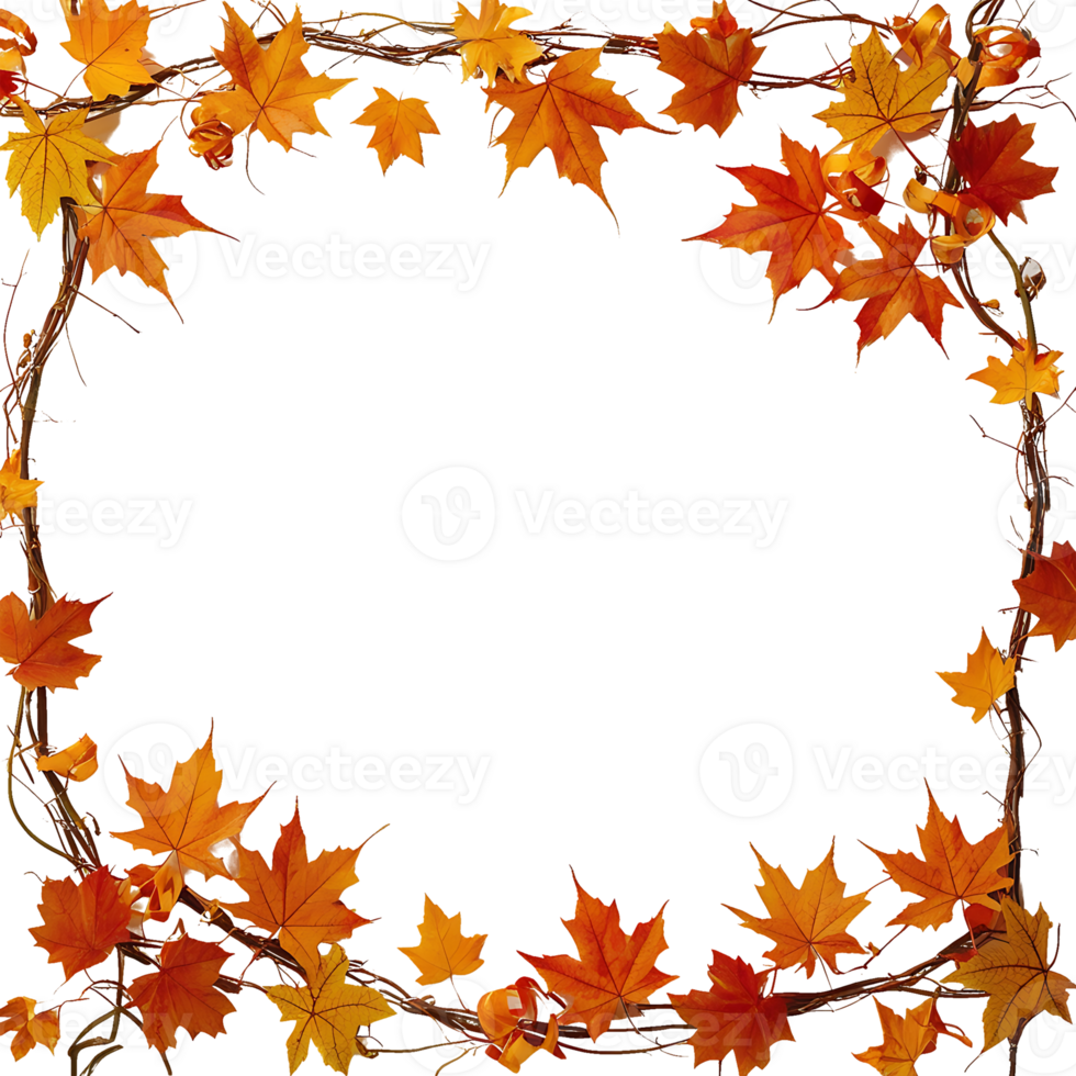 autumn leaves frame on transparent background png