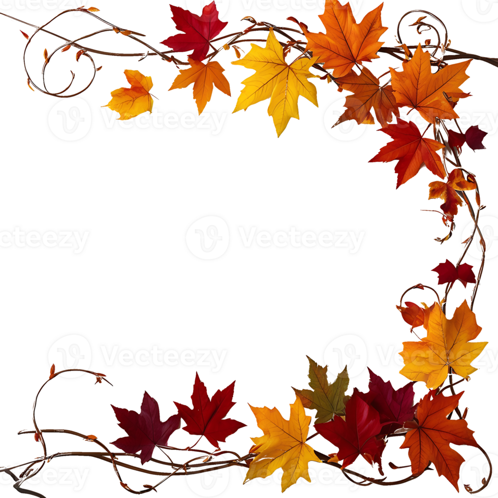 autumn leaves frame with vines and leaves png