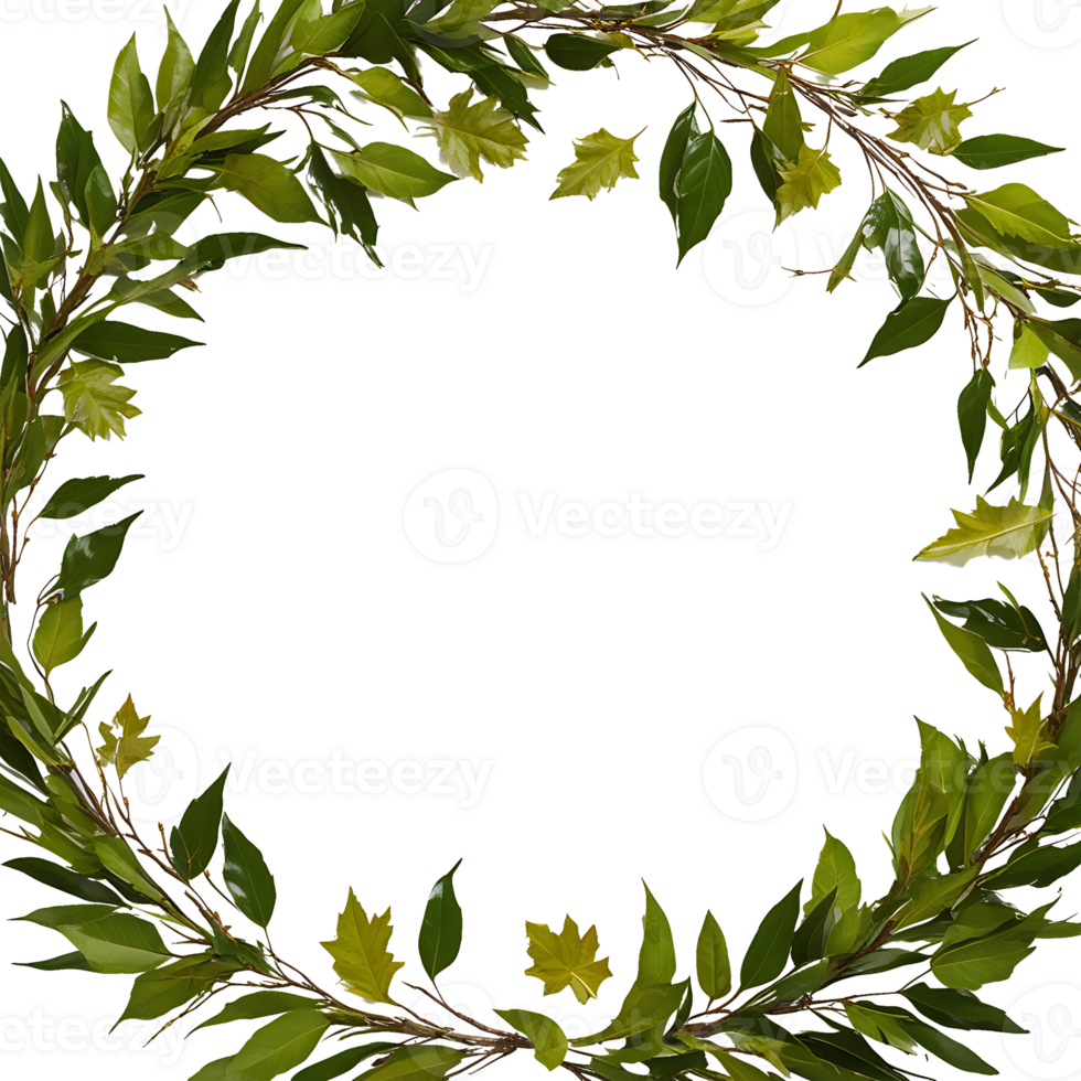 wreath of green leaves on a transparent background png
