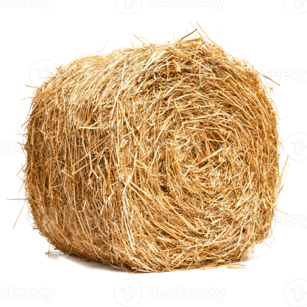 hay side view isolate on transparency background png