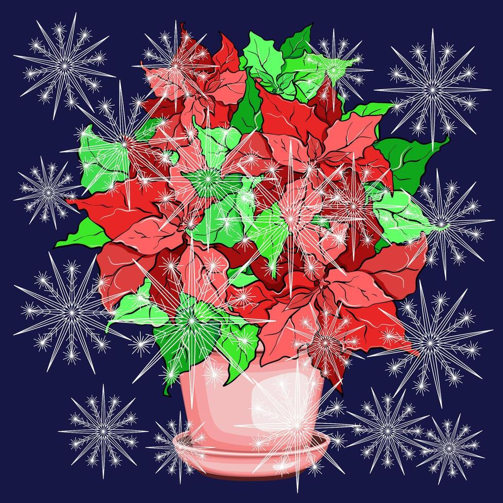 Poinsettia plant in pot with snowflakes vector