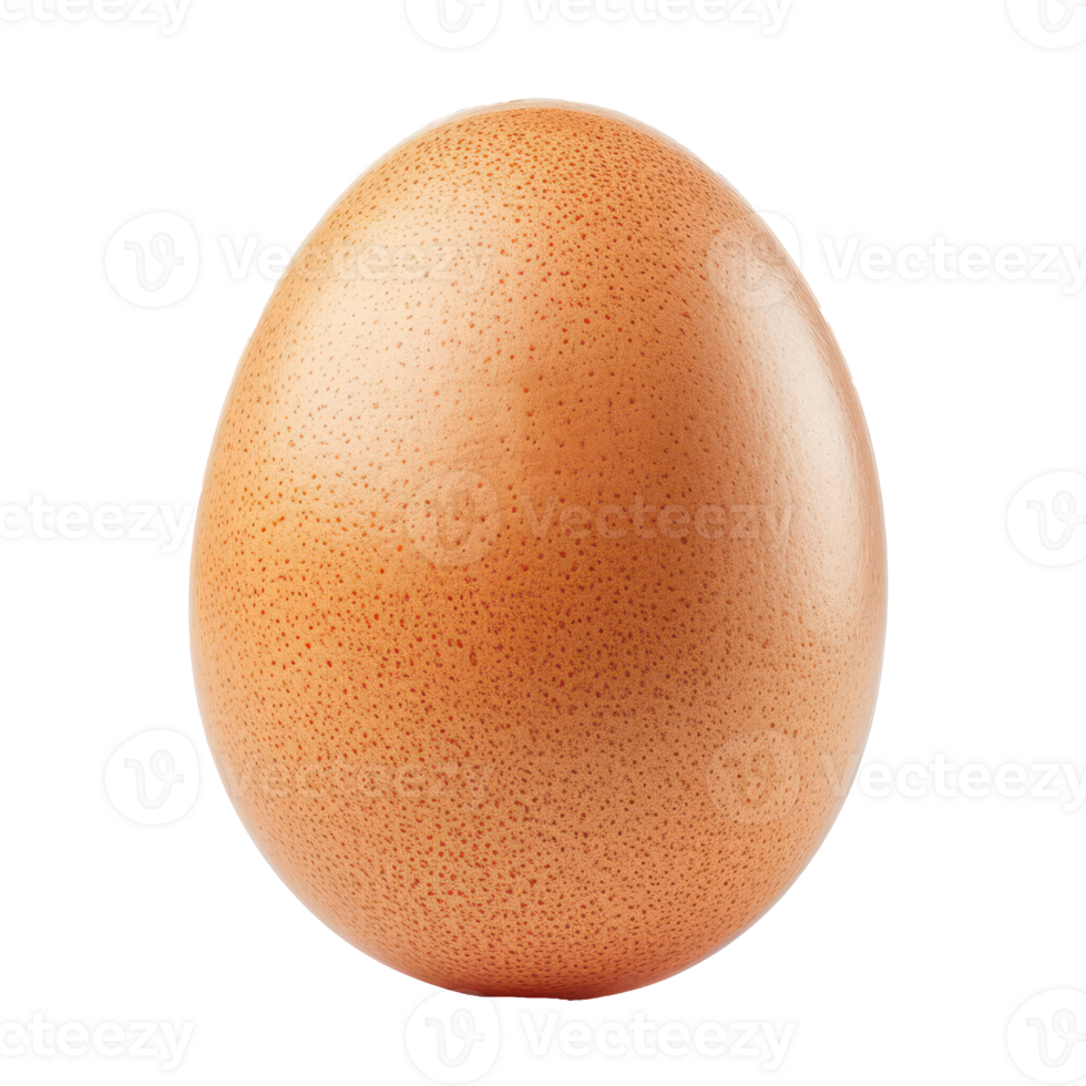 an egg on a transparent background png