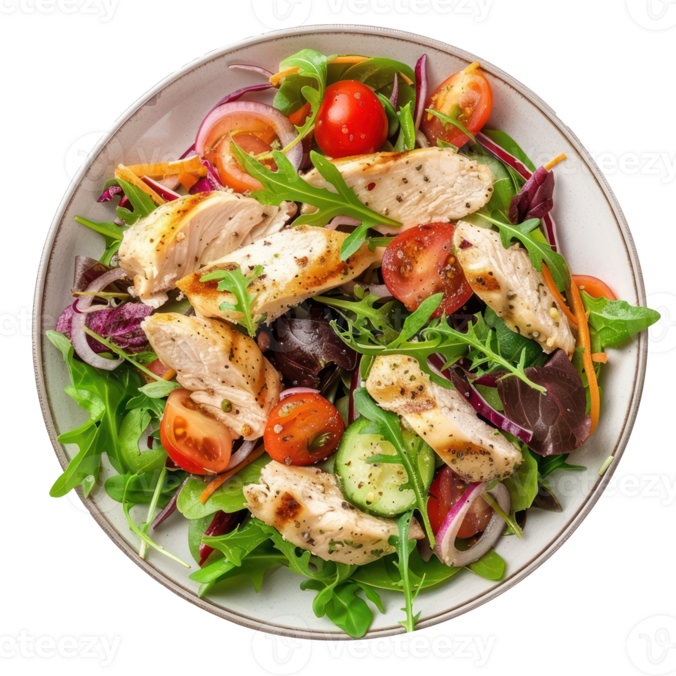 chicken salad with vegetables and tomatoes on a plate png