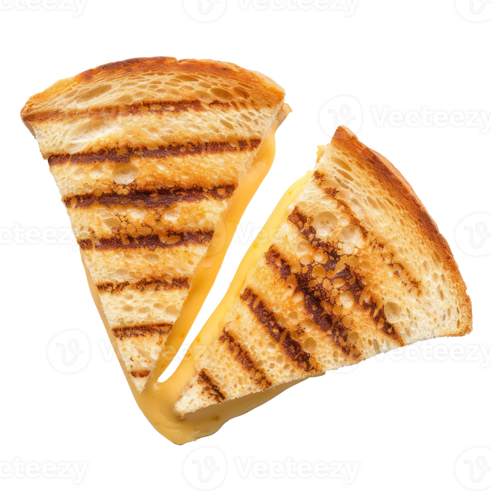 grilled cheese sandwich isolate on transparent background png