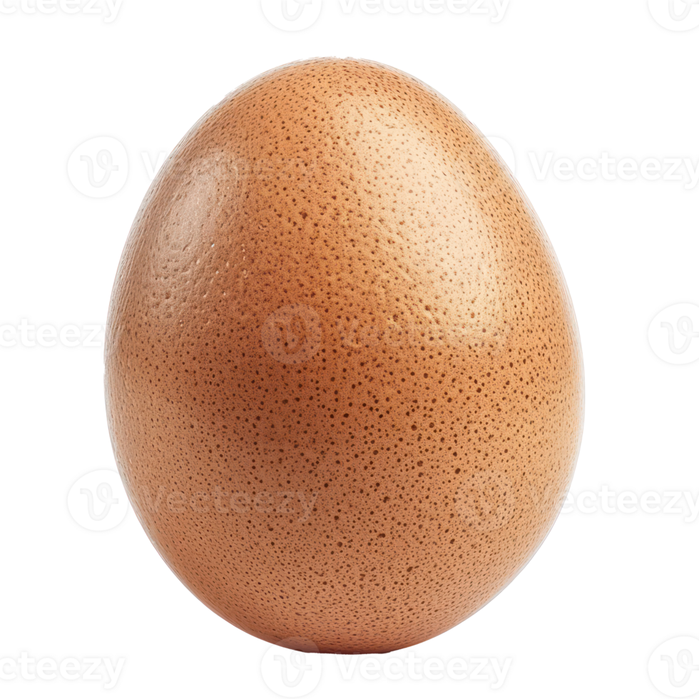 an egg on a transparent background png
