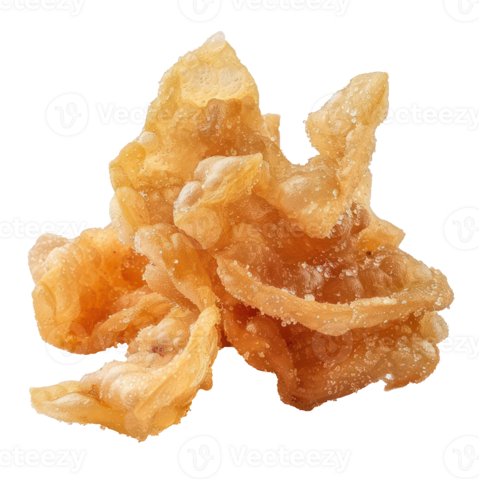 fried chicken isolate on transparent background png