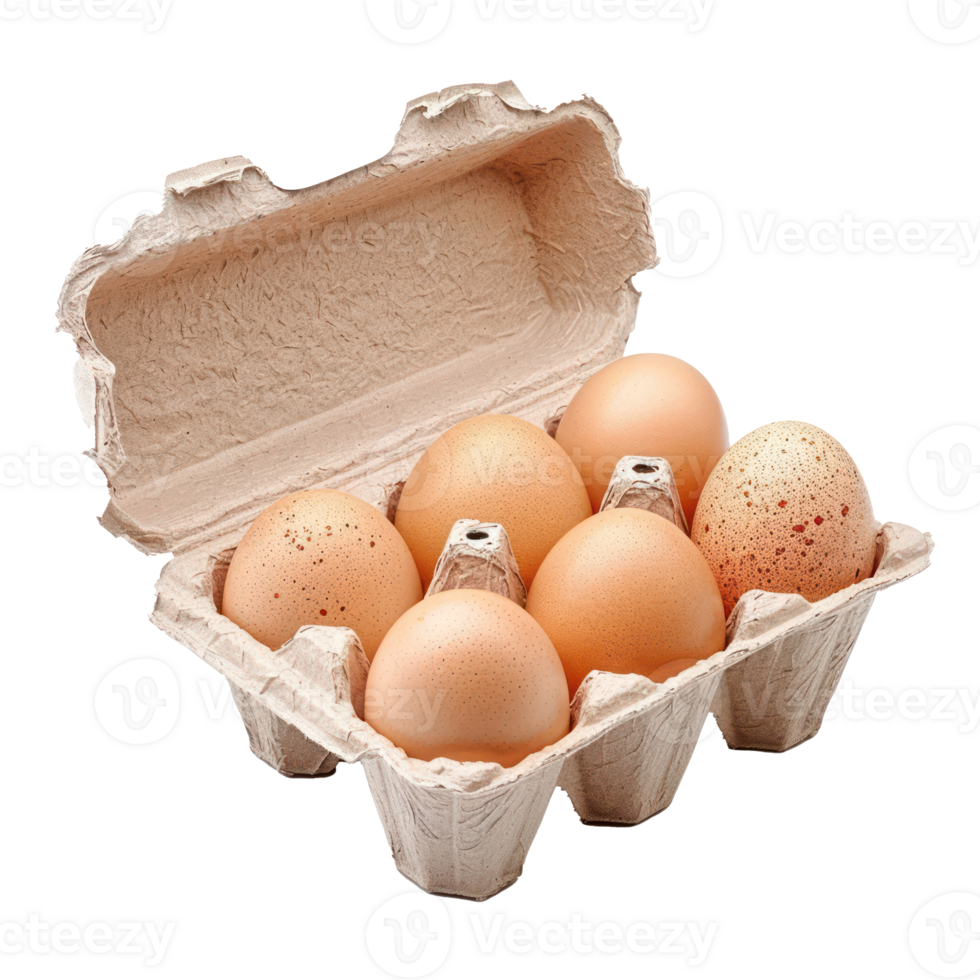 eggs in a carton on a transparent background png