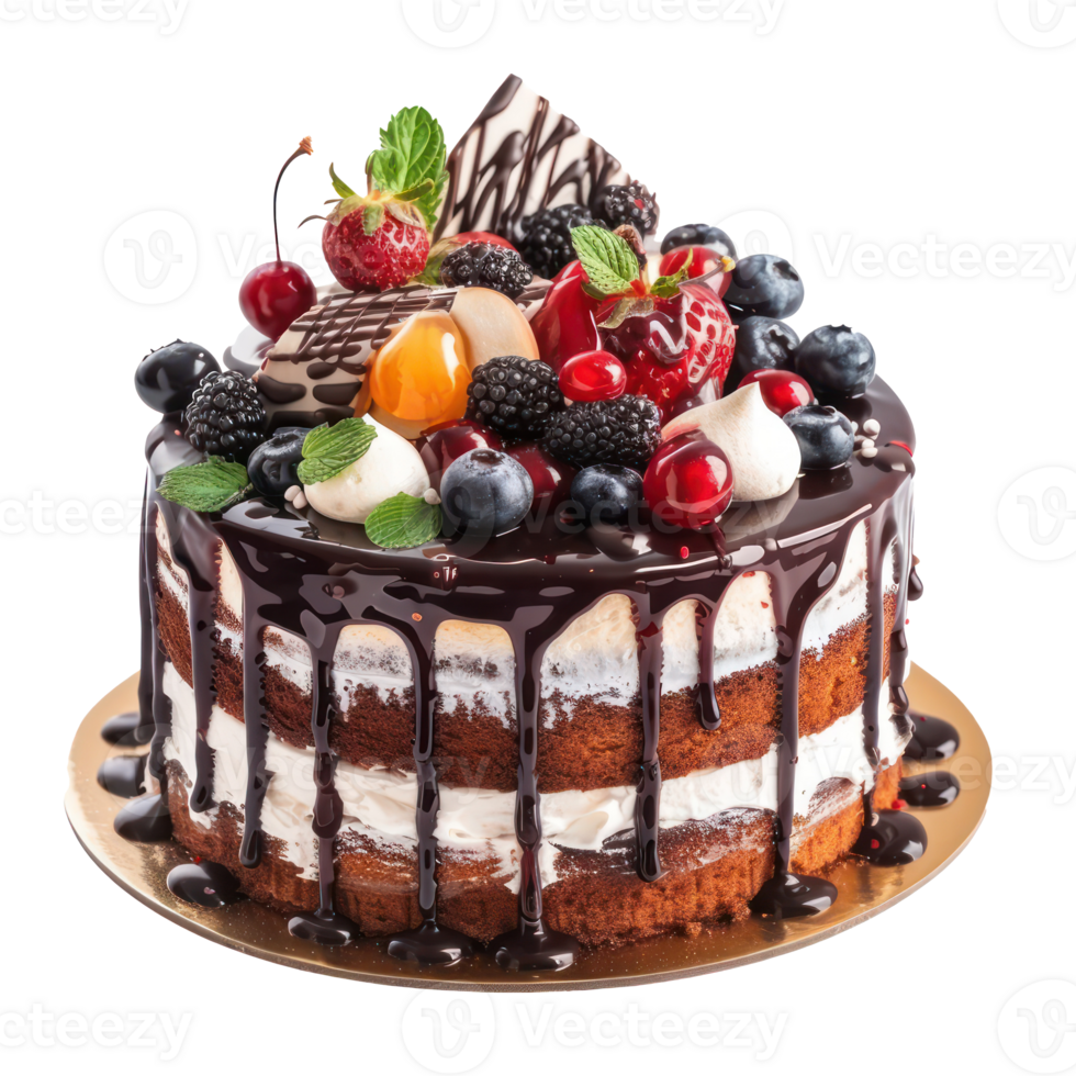 a cake with chocolate and berries on it png