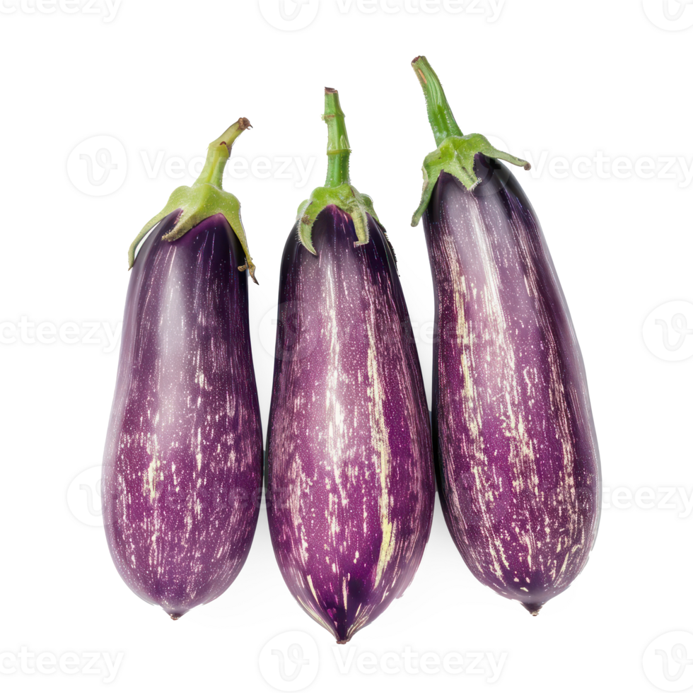 three eggplants on a white background png