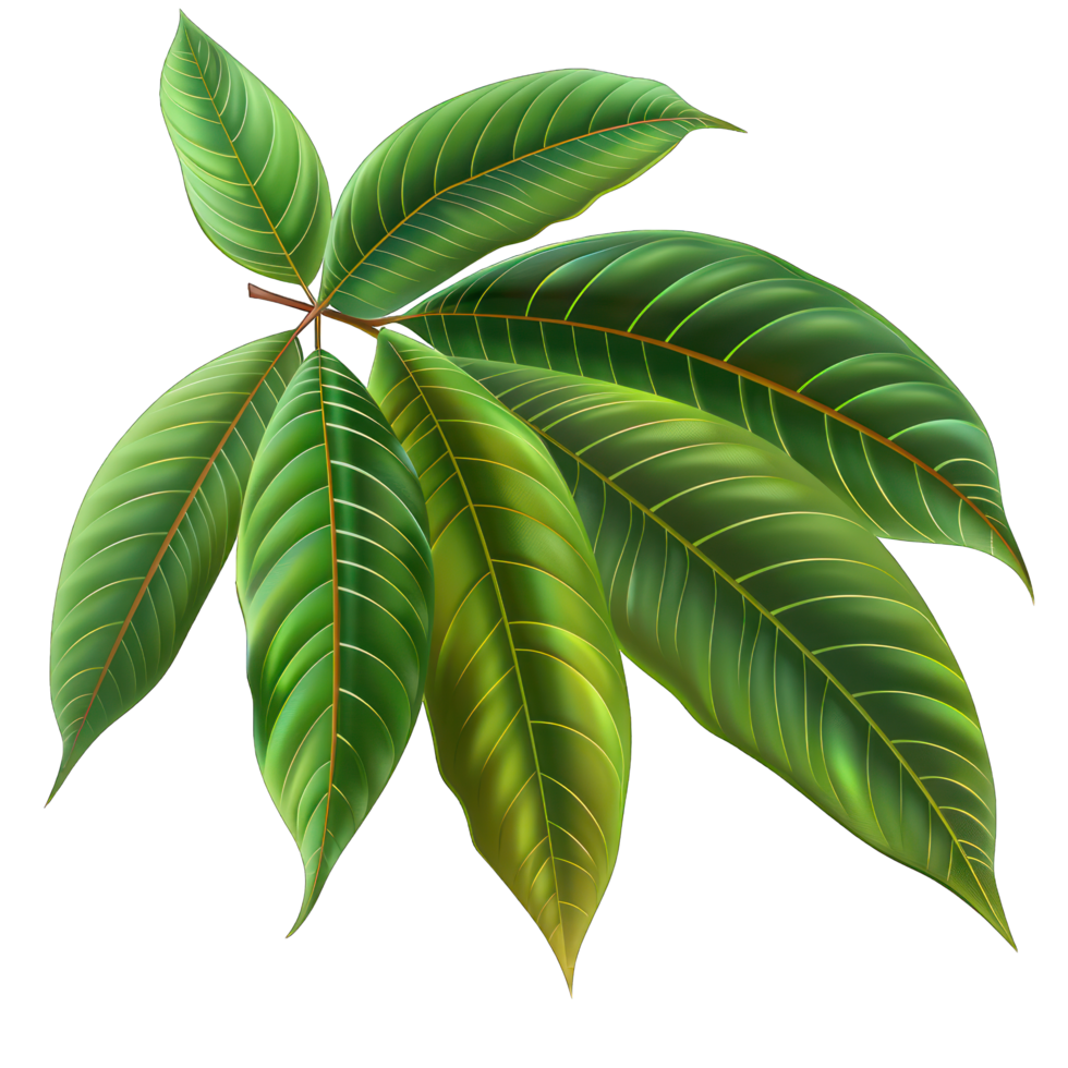 green leaves transparent background png