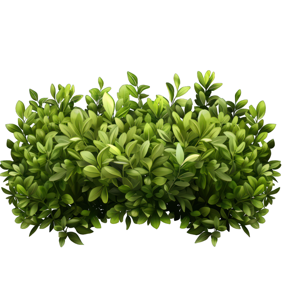 green bush transparent background png