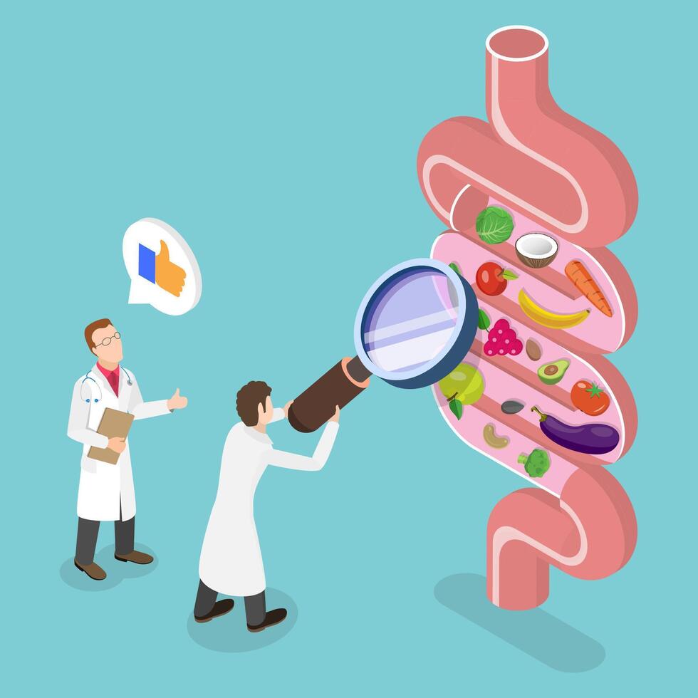 3D Isometric Flat Conceptual Illustration of Bowel Health Check vector