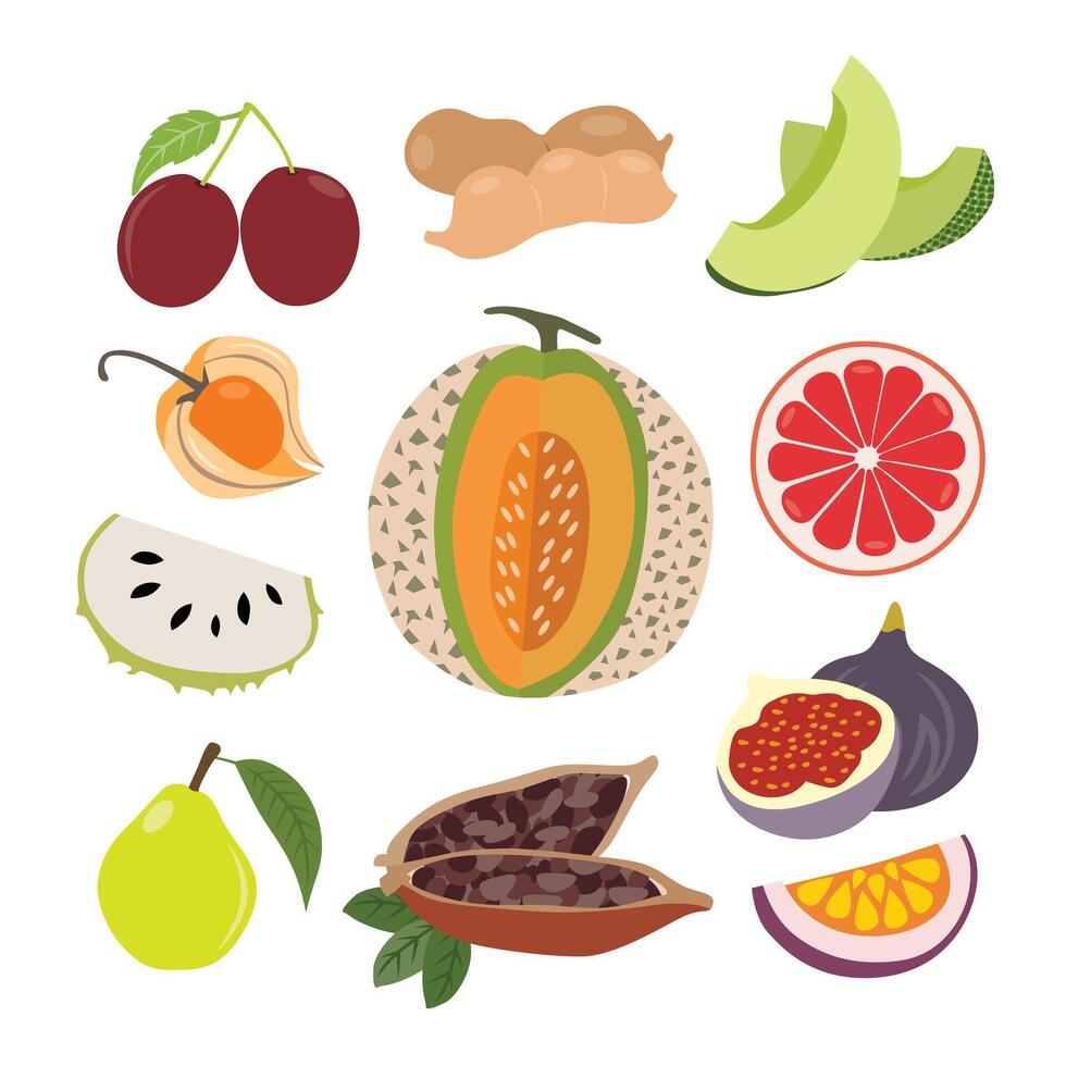 A Diverse Selection of Delicious Fresh Fruits vector
