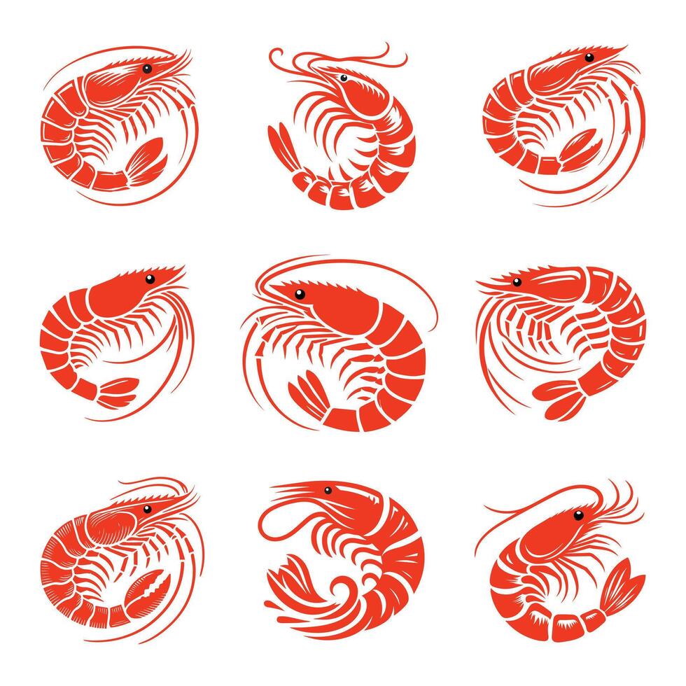 Shrimp logo. Isolated shrimp on white background. Prawns vector