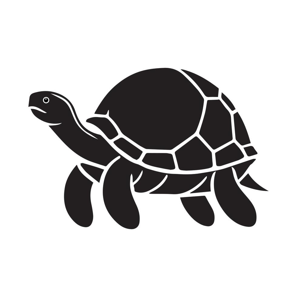It's an illustration of a turtle vector
