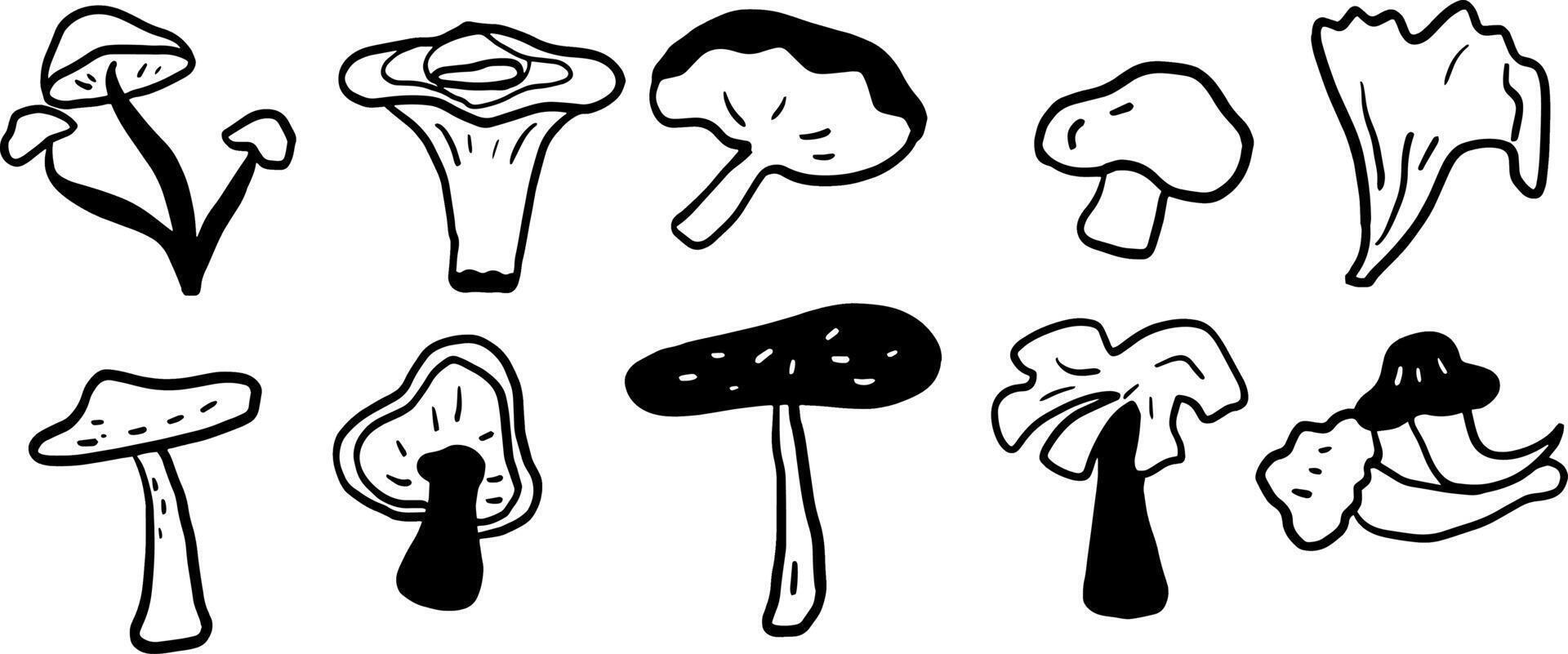 Hand-Drawn Mushroom Set for Woodland and Nature Projects vector