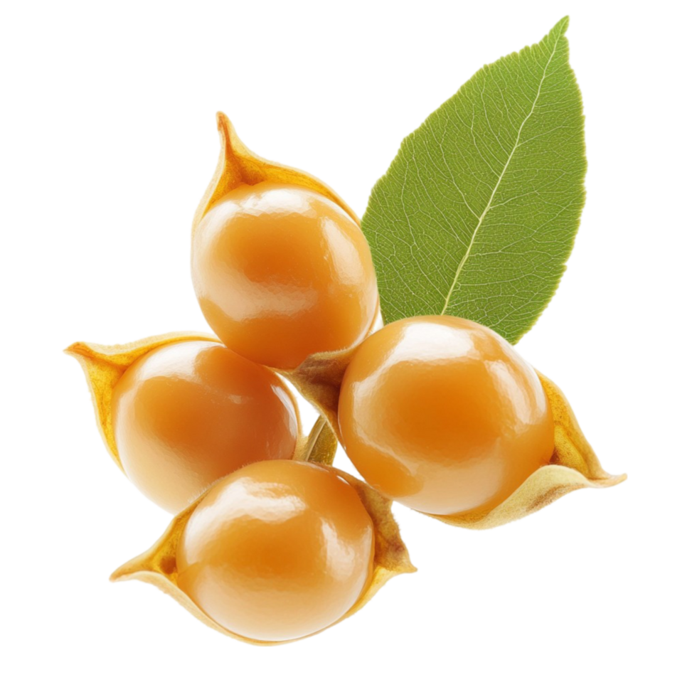 Bunch of Nuts with Leaves and Gold Bow on Transparent Background on a white background png