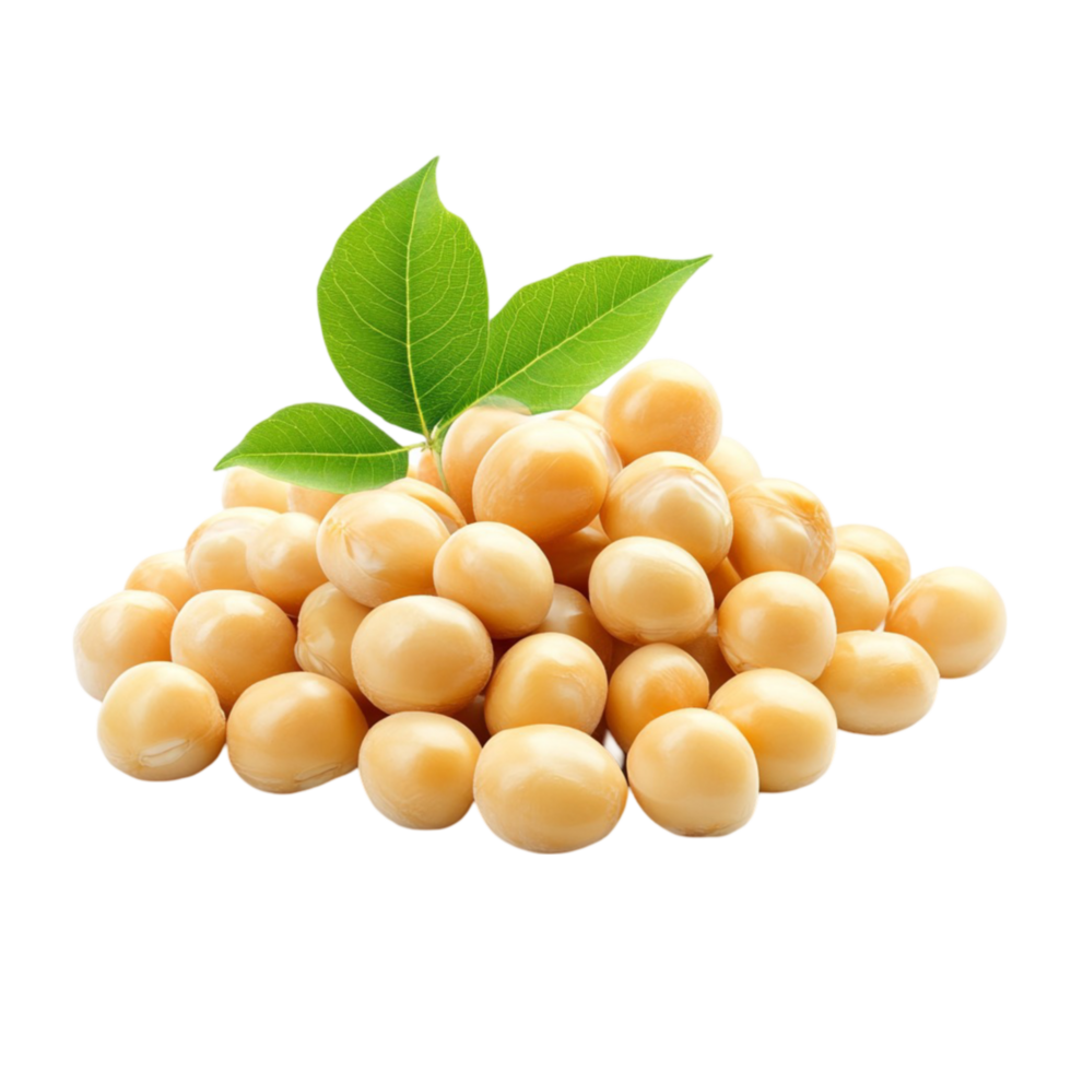 Soybeans with green leaves on transparent background png